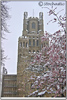 Ely Cathedral in the snow