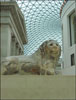 Great Court, British Museum