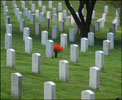 Arlington National Cemetery, Washington DC