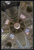 Ely Cathedral, Fisheye