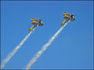 'Utterly Butterlies', RIAT 06, RAF Fairford